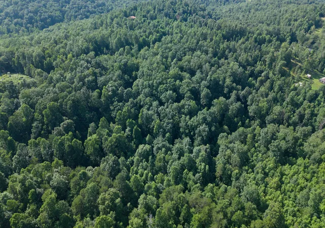 5th image of 0 White Oak Lane, Crawford, TN 38554 | MLS# 3306490