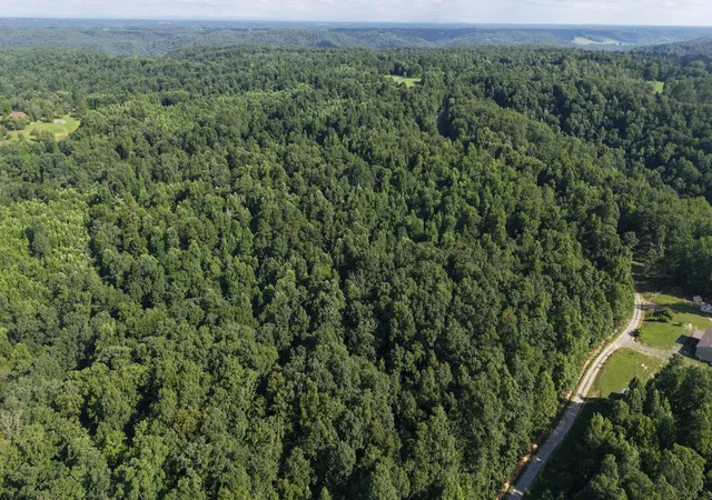 7th image of 0 White Oak Lane, Crawford, TN 38554 | MLS# 3306490