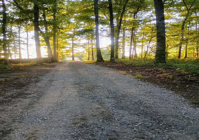 4th image of 7863 Oscar Green Rd, Primm Springs, TN 38476 | MLS# 3306554
