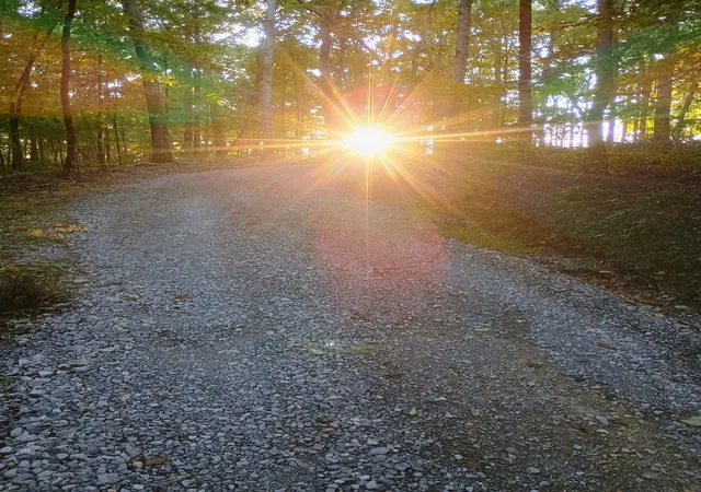 5th image of 7863 Oscar Green Rd, Primm Springs, TN 38476 | MLS# 3306554
