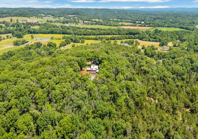 98th image of 3215 Boyd Mill Pike, Franklin, TN 37064 | MLS# 3309234