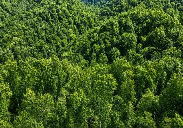 Photo 2 of Land for sale at 0 S Peninsula Edge Dr, Smithville, TN 37166 | MLS# 3306602 | Listing updated on 2026-09-03