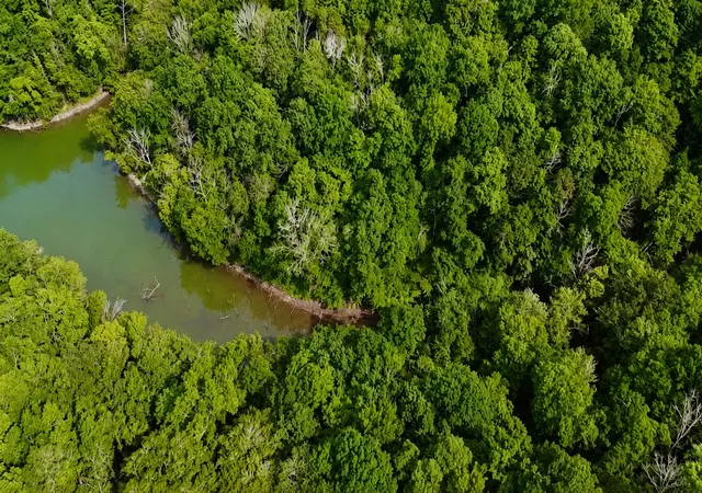 Photo 2 of Land for sale at 0 S Peninsula Edge Dr, Smithville, TN 37166 | MLS# 3306602 | Listing updated on 2026-09-03