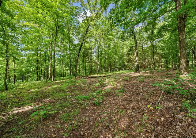 2nd image of 0 Old Hwy 13, Cumberland City, TN 37050 | MLS# 3306561