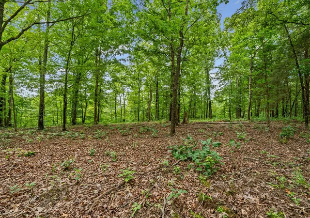 3rd image of 0 Old Hwy 13, Cumberland City, TN 37050 | MLS# 3306561