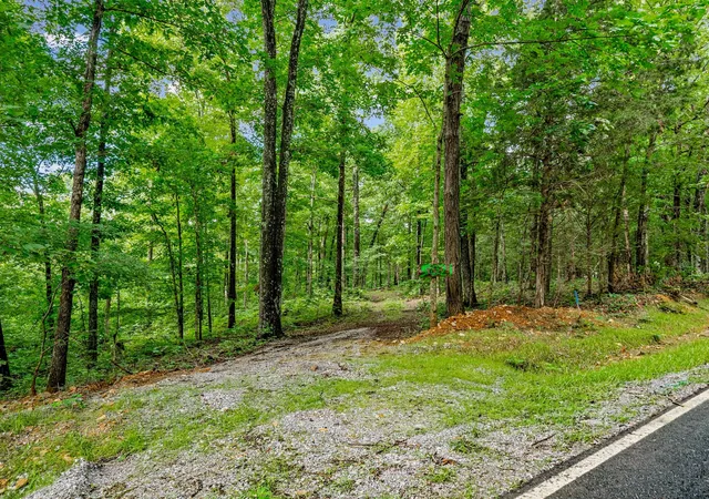 60th image of 0 Old Hwy 13, Cumberland City, TN 37050 | MLS# 3306561