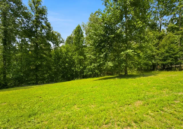 4th image of 0 Strawberry Hill Rd, Goodlettsville, TN 37072 | MLS# 3314360