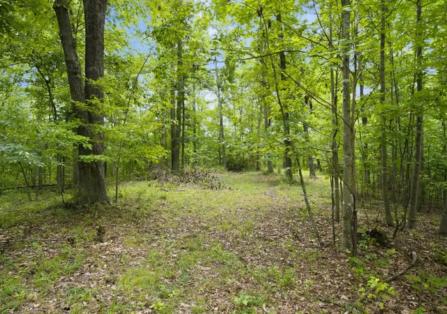 Photo 4 of Land for sale at 0 Strawberry Hl Rd, Goodlettsville, TN 37072 | MLS# 3314360 | Listing updated on 2026-09-13
