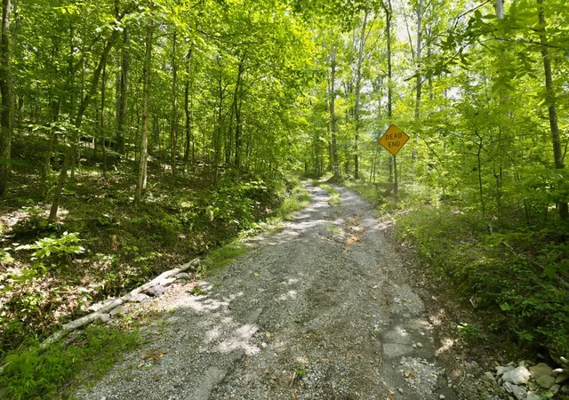 5th image of 0 Strawberry Hill Rd, Goodlettsville, TN 37072 | MLS# 3314360