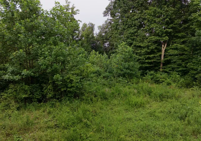 3rd image of 0 Virgil Cross Rd, Red Boiling Springs, TN 37150 | MLS# 3306696