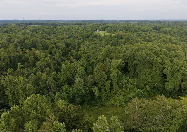 4th image of 0 Virgil Cross Rd, Red Boiling Springs, TN 37150 | MLS# 3306696