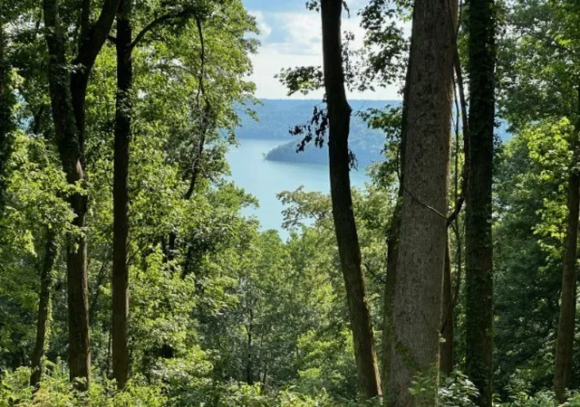 2nd image of 0 Back Ranch Dr, Silver Point, TN 38582 | MLS# 3314798