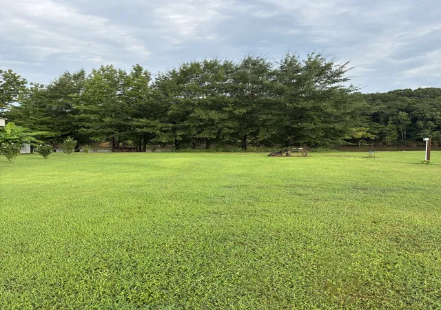 10th image of 0 D D S Cv, Decaturville, TN 38329 | MLS# 3309185