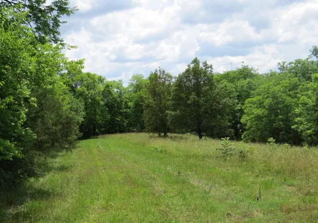 Photo 3 of Single family home for sale at 200 Hardy Rd, Pulaski, TN 38478 | MLS# 3306708 | Listing updated on 2026-08-15