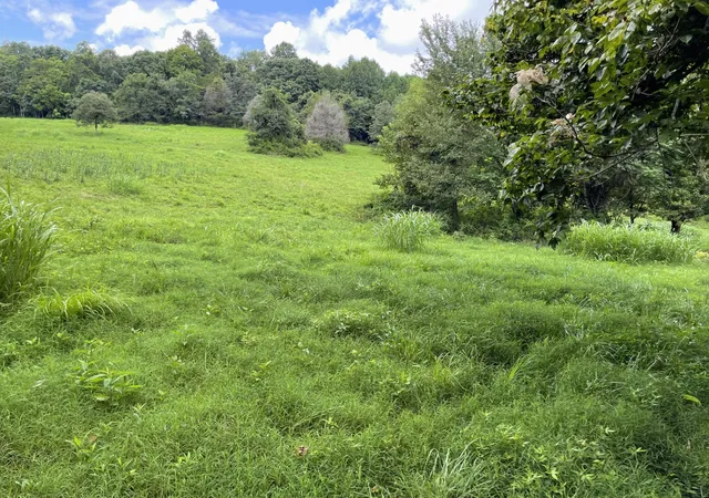 1st image of 6461 Hwy 48 N, Cumberland Furnace, TN 37051 | MLS# 3333606