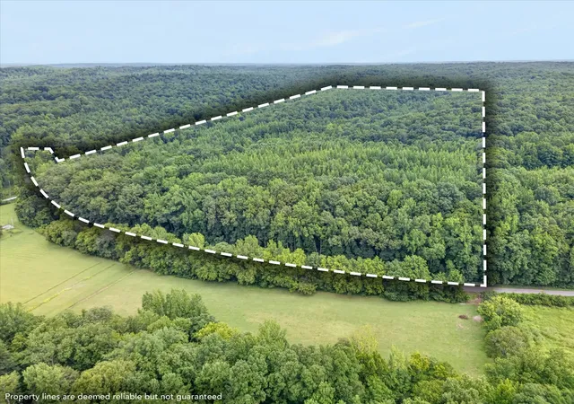 Photo 2 of Land for sale at 1 White Oak Rd, Stewart, TN 37175 | MLS# 3311609 | Listing updated on 2026-07-28