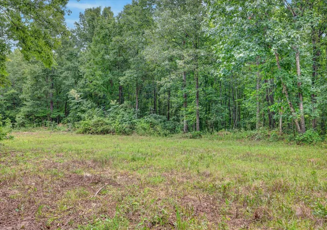 Photo 4 of Land for sale at 1 White Oak Rd, Stewart, TN 37175 | MLS# 3311609 | Listing updated on 2026-07-28