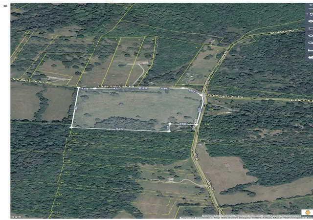 1st image of 175 Little Salt Lick Road, Carthage, TN 37030 | MLS# 3311518