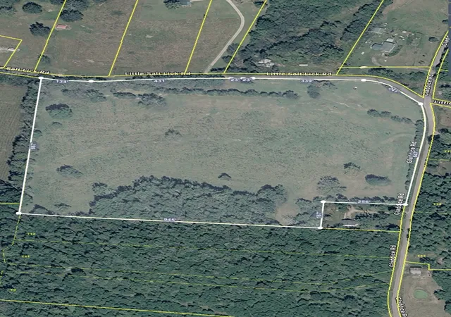 2nd image of 175 Little Salt Lick Road, Carthage, TN 37030 | MLS# 3311518