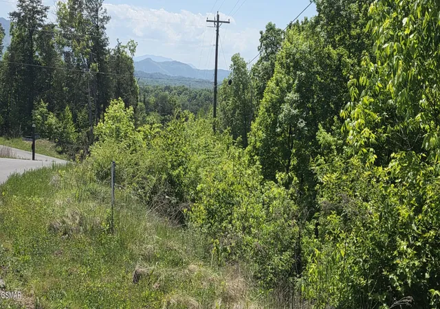 5th image of 78 Harbor Ridge Lane, Dandridge, TN 37725 | MLS# 3307316