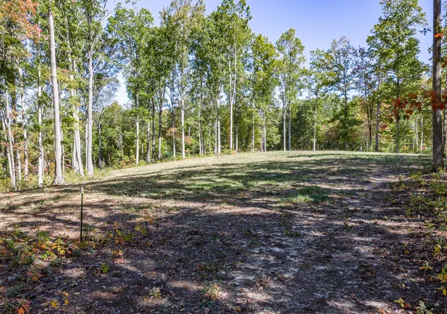 Photo 4 of Land for sale at 628 Cumberland Cvs Rd, Monterey, TN 38574 | MLS# 3307327 | Listing updated on 2026-08-20
