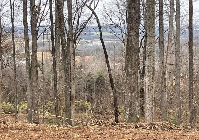 3rd image of 0 Lot 10 Poplar Dr, Sweetwater, TN 37874 | MLS# 3307333