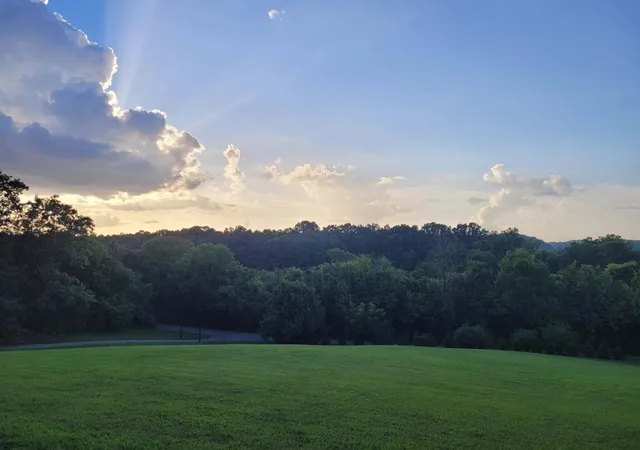49th image of 339 County Road 61, Riceville, TN 37370 | MLS# 3308973