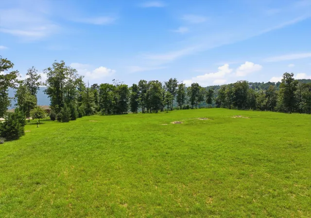 2nd image of 0 Raulston Falls, Jasper, TN 37347 | MLS# 3308985
