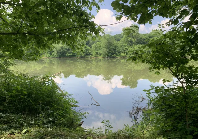 1st image of 3 Off Kennys Bend Ln, Carthage, TN 37030 | MLS# 3309047