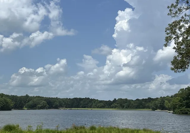 Photo 3 of Land for sale at 0 Excalibur Trl, Cedar Grove, TN 38321 | MLS# 3309058 | Listing updated on 2026-08-12