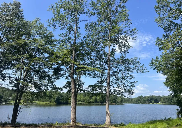 Land for sale at 33 Arrowhead Pt Lot 175, Cedar Grove, TN 38321 | MLS# 3309080