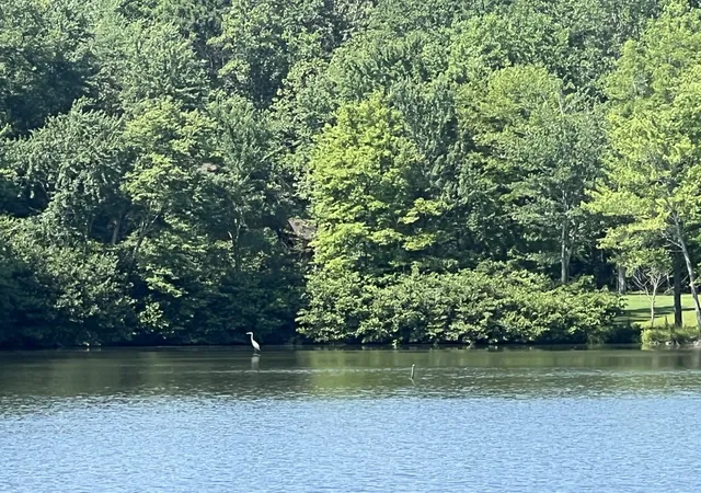 Photo 3 of Land for sale at 33 Arrowhead Pt Lot 175, Cedar Grove, TN 38321 | MLS# 3309080 | Listing updated on 2026-09-04