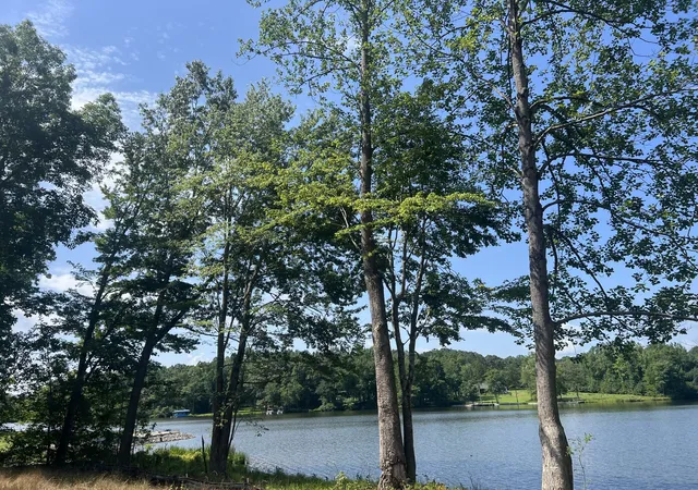 Photo 4 of Land for sale at 33 Arrowhead Pt Lot 175, Cedar Grove, TN 38321 | MLS# 3309080 | Listing updated on 2026-09-04