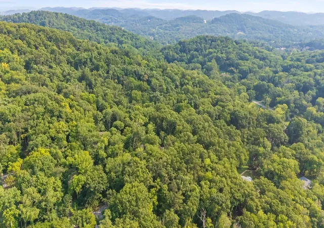 75th image of 6038 Sherwood Ct, Nashville, TN 37215 | MLS# 3314425