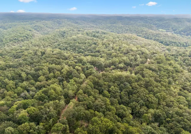 Photo 4 of Single family home for sale at 250 Kirby Hl Rd, Ashland City, TN 37015 | MLS# 3512444 | Listing updated on 2026-09-26