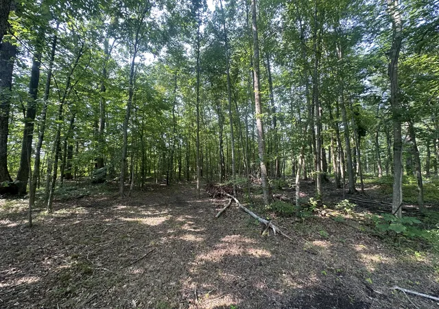 1st image of 0 S Pinson Dr, White House, TN 37188 | MLS# 3309312