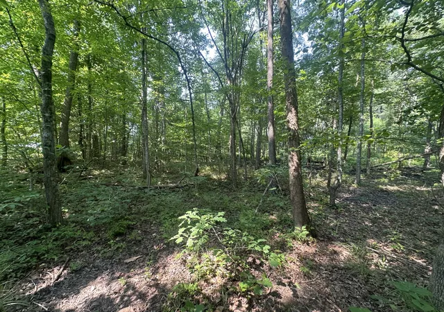 2nd image of 0 S Pinson Dr, White House, TN 37188 | MLS# 3309312