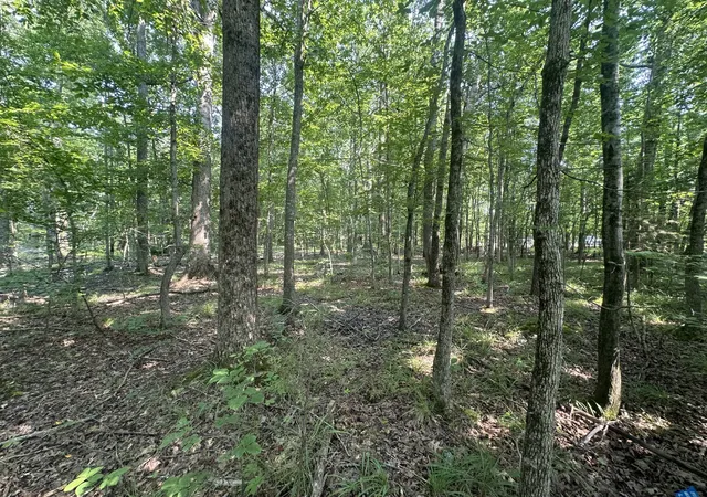 3rd image of 0 S Pinson Dr, White House, TN 37188 | MLS# 3309312