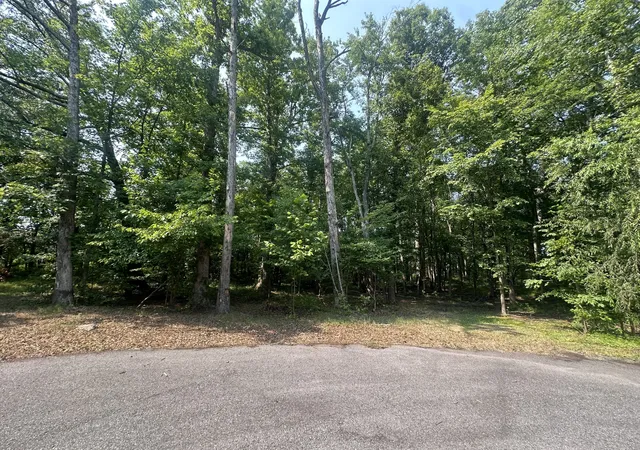 4th image of 0 S Pinson Dr, White House, TN 37188 | MLS# 3309312
