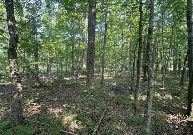 5th image of 0 S Pinson Dr, White House, TN 37188 | MLS# 3309312
