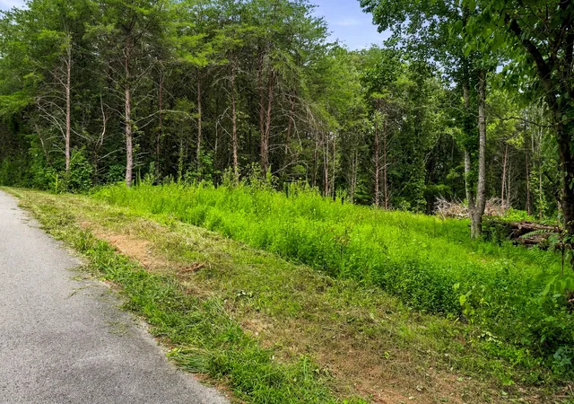 Photo 3 of Land for sale at 0 Warren County Park Rd, Rock Island, TN 38581 | MLS# 3309216 | Listing updated on 2026-08-23