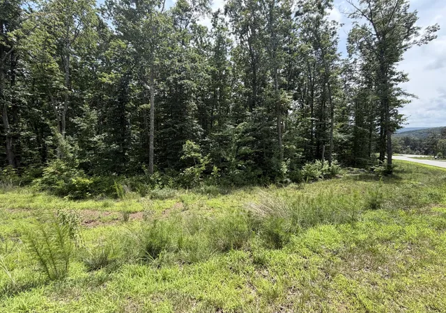 3rd image of 8482 Big Sky Lane, Signal Mountain, TN 37377 | MLS# 3309291