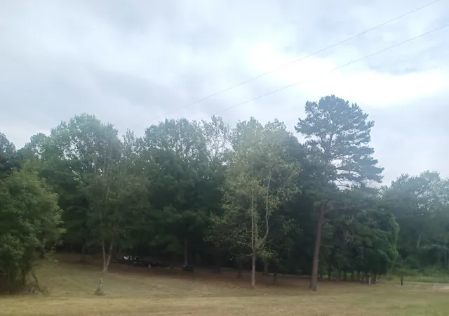 11th image of 567 Rawls Rd, Paris, TN 38242 | MLS# 3314315