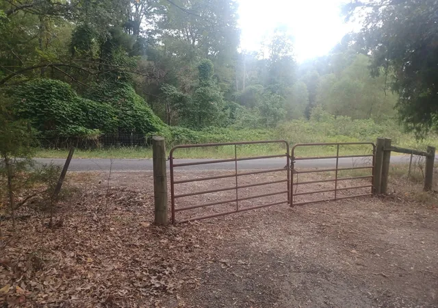 4th image of 567 Rawls Rd, Paris, TN 38242 | MLS# 3314315
