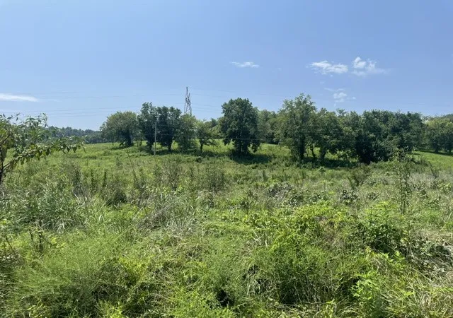 2nd image of 0 Mclaughlin St, Shelbyville, TN 37160 | MLS# 3312571