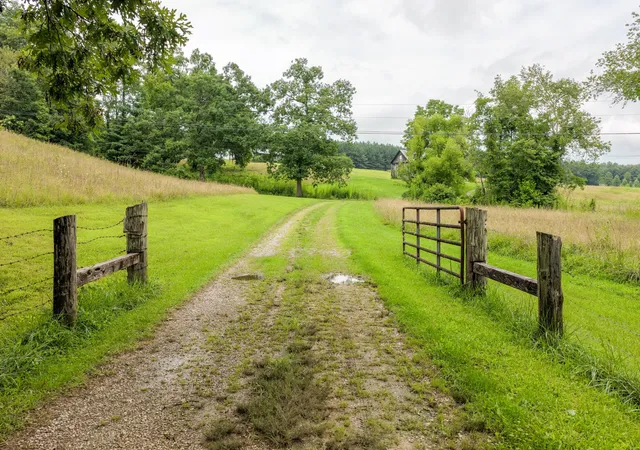 3rd image of 404 Luminary Firetower Road, Spring City, TN 37381 | MLS# 3309524