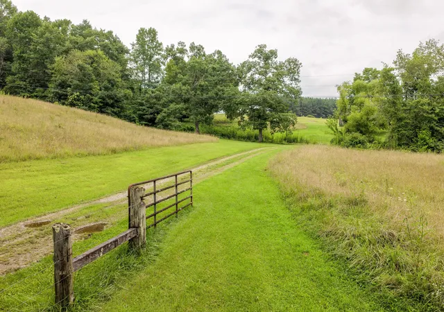 4th image of 404 Luminary Firetower Road, Spring City, TN 37381 | MLS# 3309524