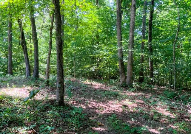 1st image of 0 Deadwood Dr, Dover, TN 37058 | MLS# 3311463
