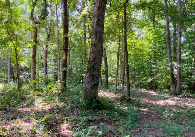 2nd image of 0 Deadwood Dr, Dover, TN 37058 | MLS# 3311463