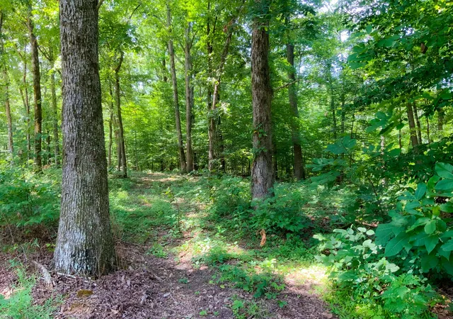 Photo 3 of Land for sale at 0 Deadwood Dr, Dover, TN 37058 | MLS# 3311463 | Listing updated on 2026-07-28